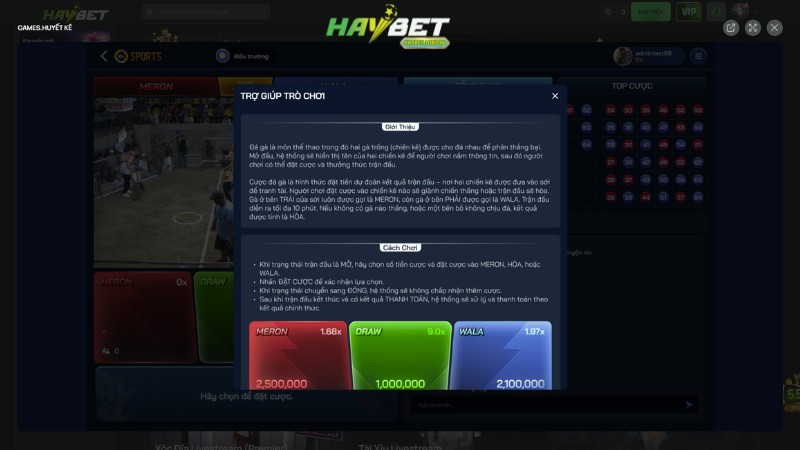 Hướng dẫn cách tham gia cá cược đá gà Haybet Hướng dẫn cách tham gia cá cược đá gà Haybet