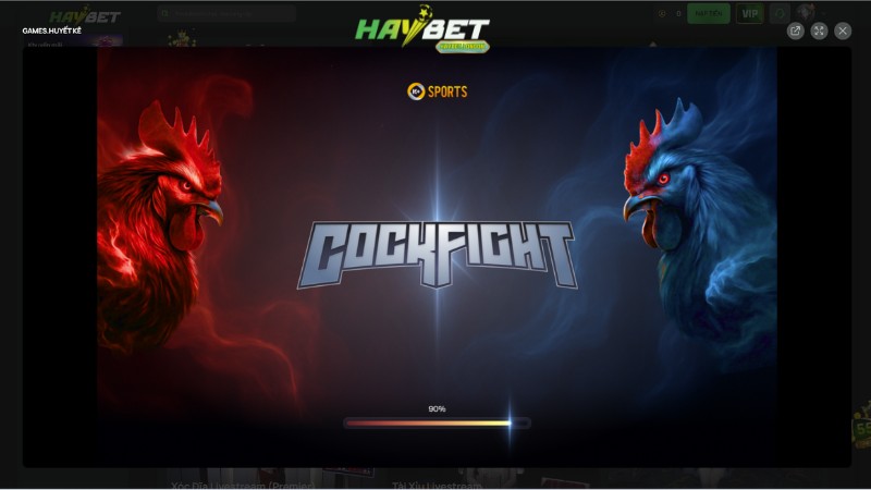 Tìm hiểu đá gà HayBet là gì? Tìm hiểu đá gà HayBet là gì?