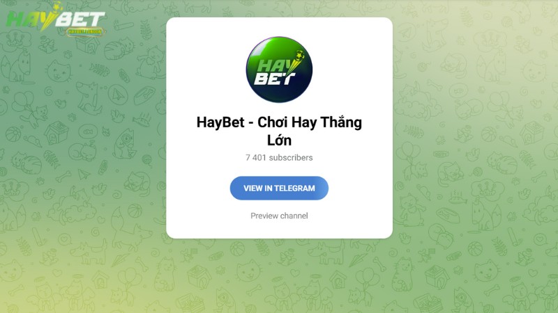 HAYBET có hệ thống hỗ trợ khách hàng nhanh chóng, toàn diện