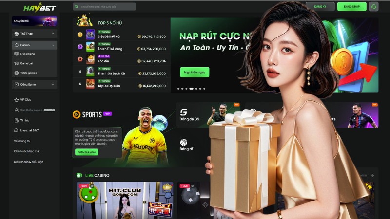 HAYBET là trang nhà cái thể thao uy tín hàng đầu Châu Á