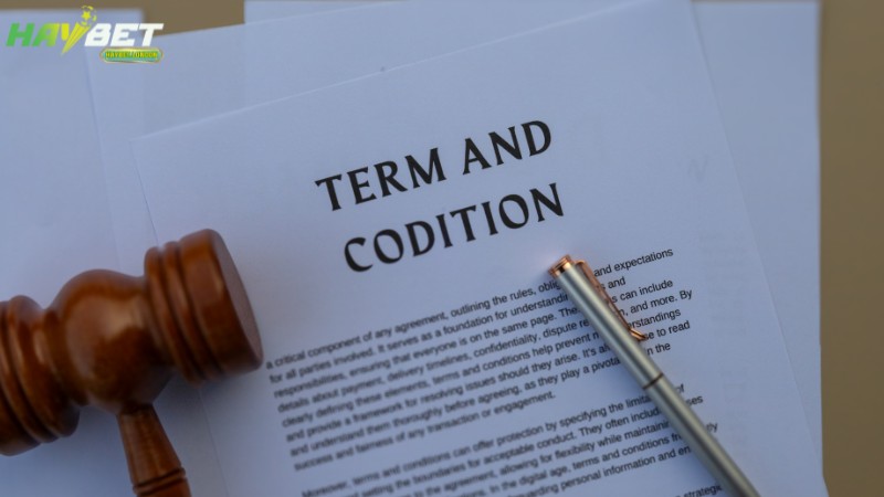 Các nội dung điều khoản điều kiện trên nhà cái HAYBET
