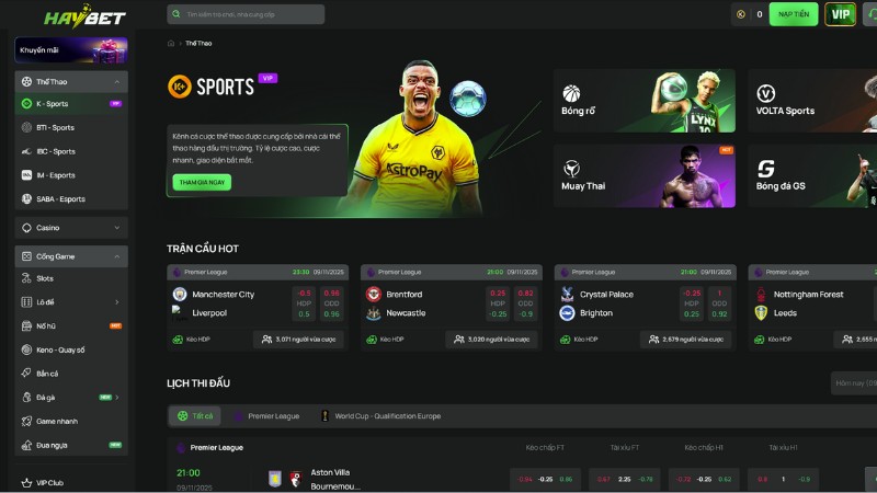 Tổng hợp các loại hình cá độ thể thao Haybet