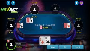 Hướng dẫn cách chơi Xì Tố tại HayBet chi tiết cho người mới học chơi
